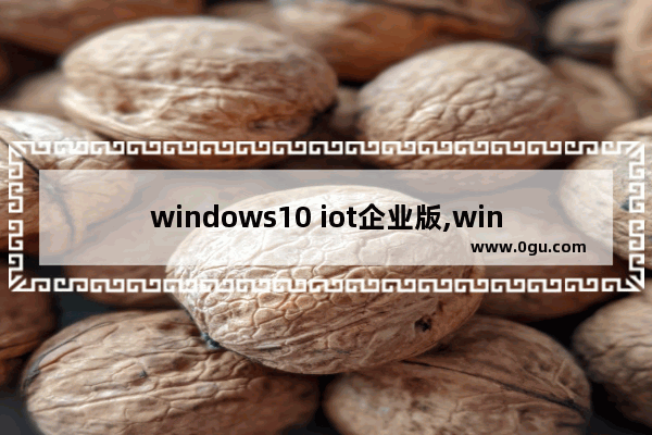 windows10 iot企业版,win10 iot版本