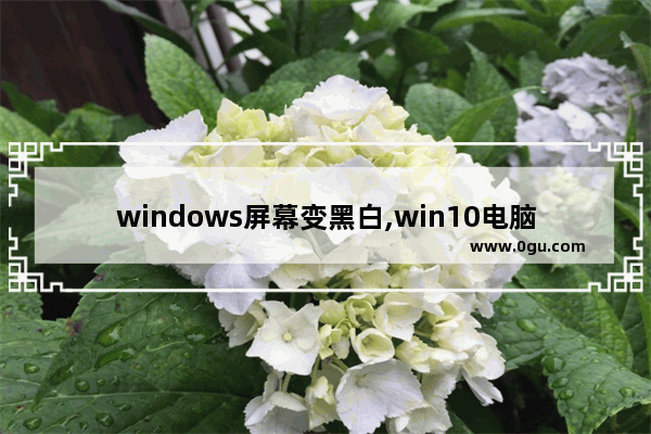 windows屏幕变黑白,win10电脑屏幕变黑白了,怎么调回去