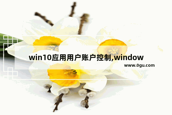 win10应用用户账户控制,windows 账户控制