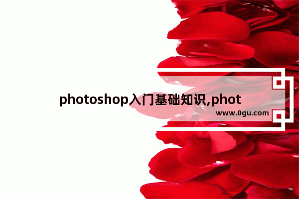 photoshop入门基础知识,photoshop快速入门