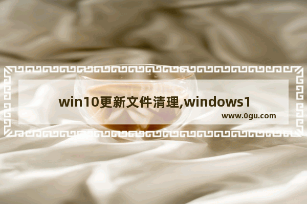 win10更新文件清理,windows10更新清理