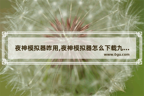 夜神模拟器咋用,夜神模拟器怎么下载九游端游戏