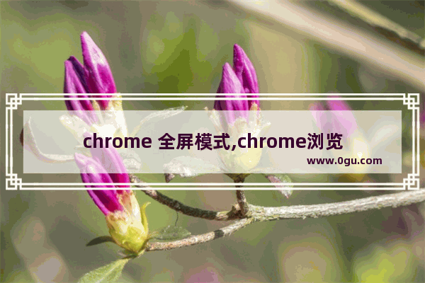 chrome 全屏模式,chrome浏览器设置全屏