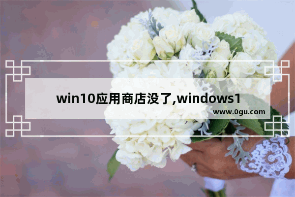 win10应用商店没了,windows11没有应用商店