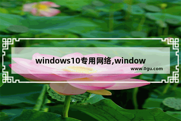 windows10专用网络,window10软件网络设置