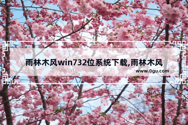 雨林木风win732位系统下载,雨林木风win7装机版 1