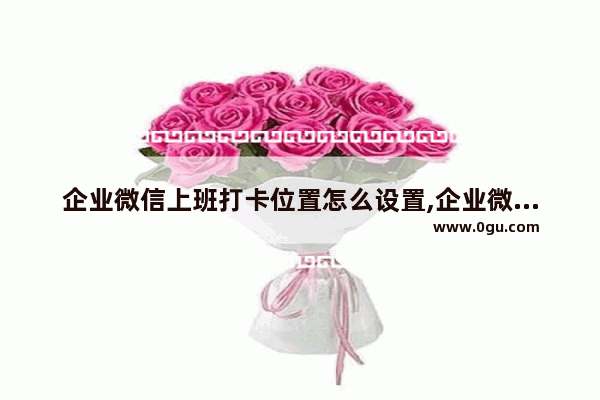 企业微信上班打卡位置怎么设置,企业微信打卡在哪里设置