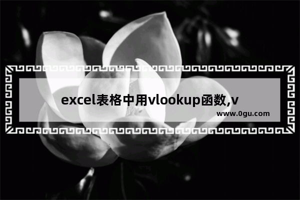 excel表格中用vlookup函数,vlookup函数的使用方法excel2010