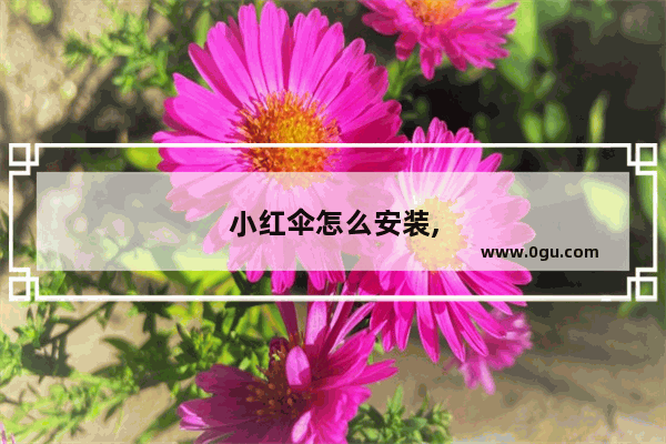 小红伞怎么安装,