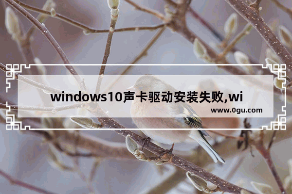 windows10声卡驱动安装失败,win10声卡驱动没了