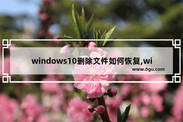 windows10删除文件如何恢复,win10删除文件如何恢复