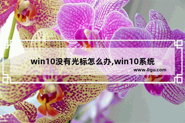 win10没有光标怎么办,win10系统光驱无法显示