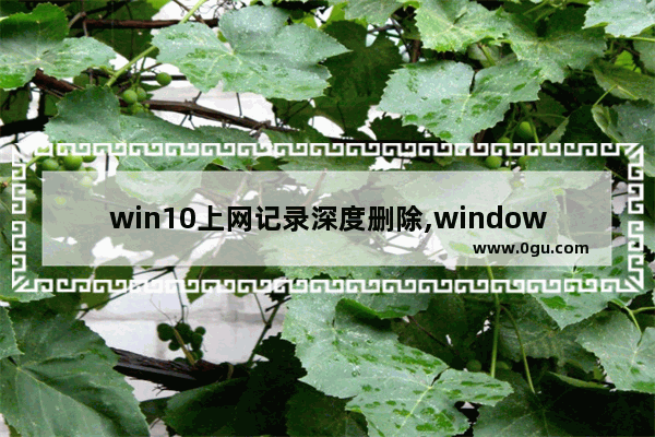 win10上网记录深度删除,window10怎么删除所有数据