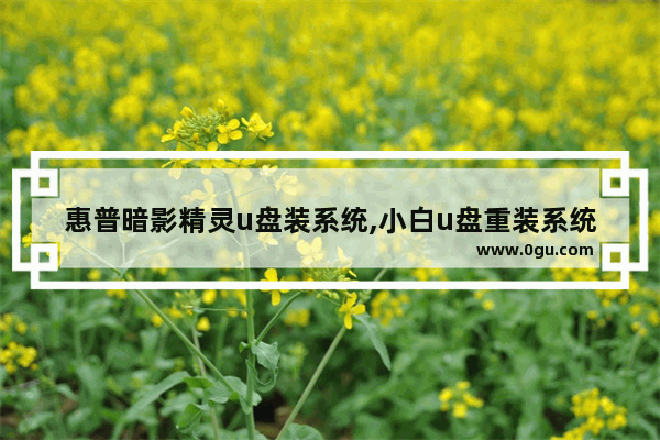惠普暗影精灵u盘装系统,小白u盘重装系统win10步骤和详细教程