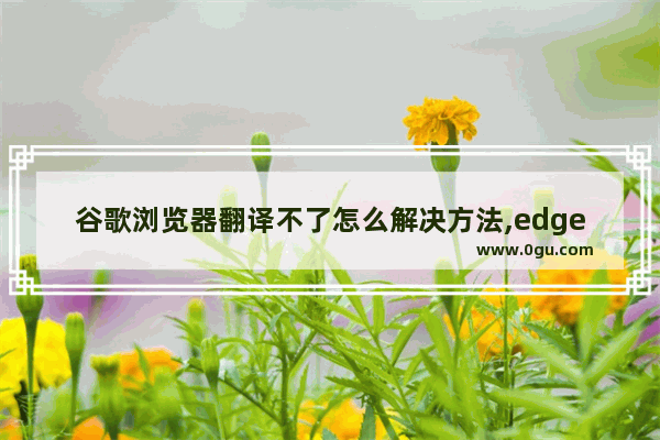 谷歌浏览器翻译不了怎么解决方法,edge浏览器无法翻译