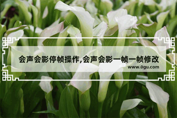 会声会影停帧操作,会声会影一帧一帧修改