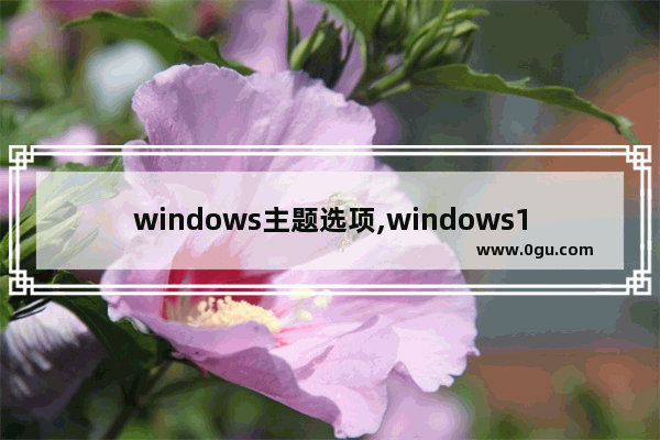 windows主题选项,windows10默认主题