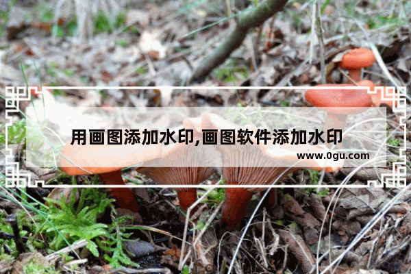 用画图添加水印,画图软件添加水印