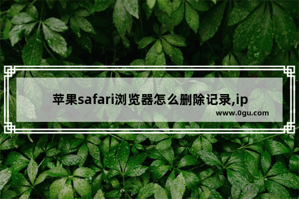 苹果safari浏览器怎么删除记录,ipad的safari历史浏览记录怎么恢复