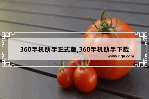 360手机助手正式版,360手机助手下载官网下载电脑版