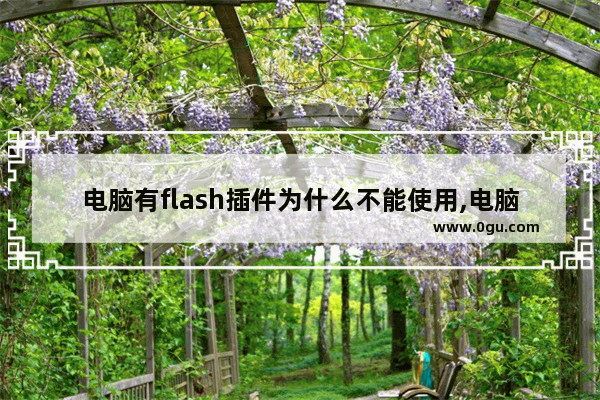 电脑有flash插件为什么不能使用,电脑网页flash不可用