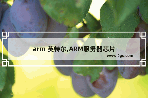arm 英特尔,ARM服务器芯片