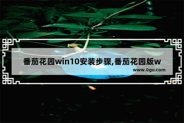 番茄花园win10安装步骤,番茄花园版win7 1