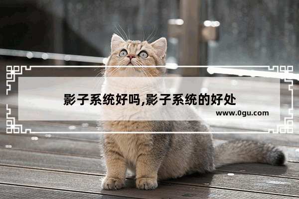 影子系统好吗,影子系统的好处