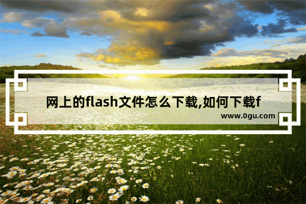 网上的flash文件怎么下载,如何下载flash视频文件