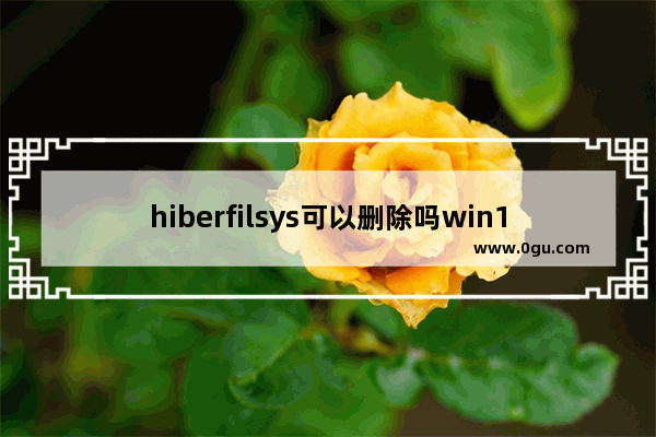 hiberfilsys可以删除吗win10,系统文件hiberfil.sys可以删除吗