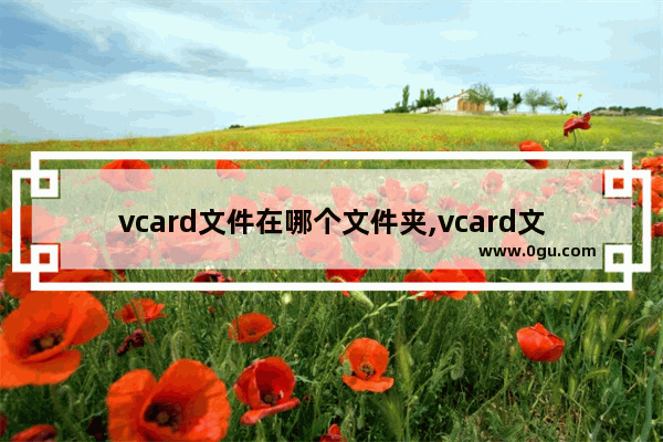 vcard文件在哪个文件夹,vcard文件在哪