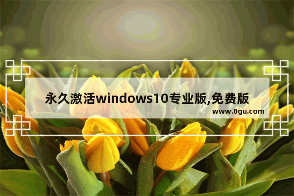 永久激活windows10专业版,免费版win10激活