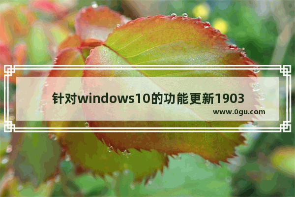 针对windows10的功能更新1903,win10 1903 bug