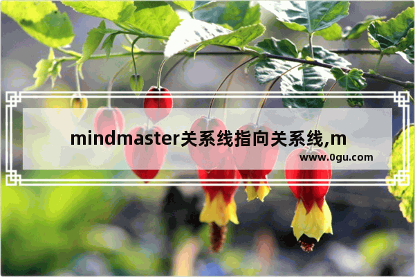 mindmaster关系线指向关系线,mindmaster关系线添加文字
