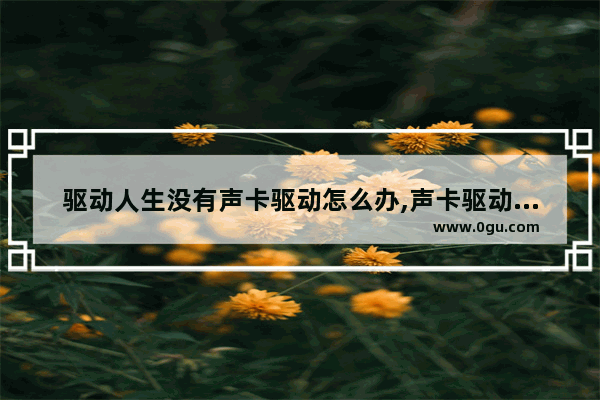 驱动人生没有声卡驱动怎么办,声卡驱动安装后没有声音怎么办