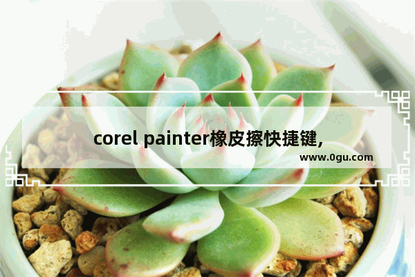 corel painter橡皮擦快捷键,corel painter语言设置