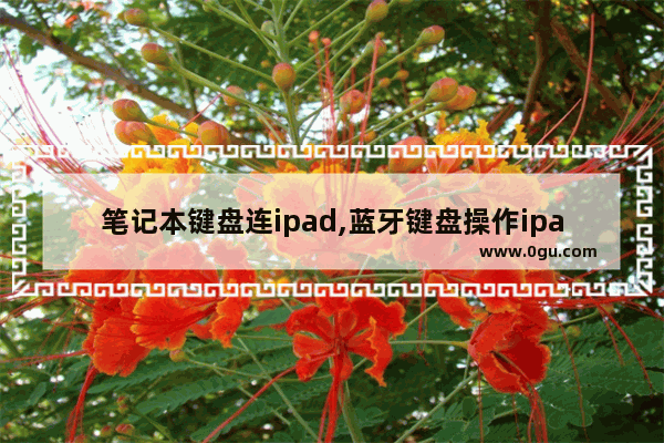 笔记本键盘连ipad,蓝牙键盘操作ipad