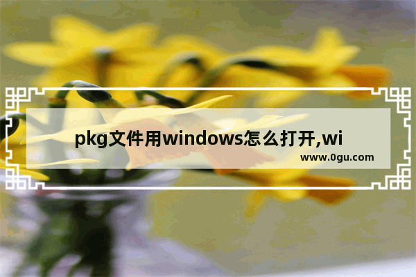 pkg文件用windows怎么打开,windows10打开pkg文件包