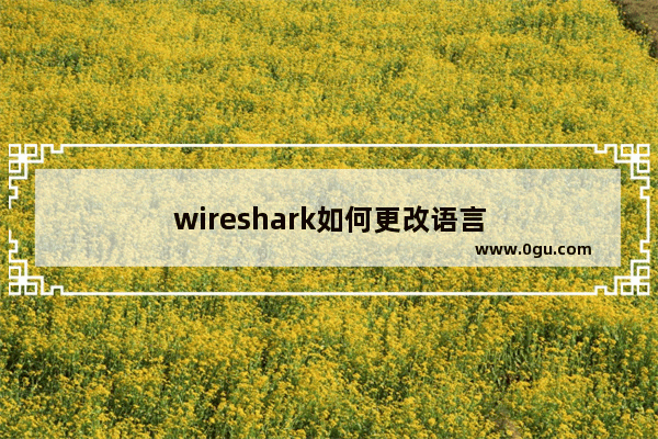 wireshark如何更改语言