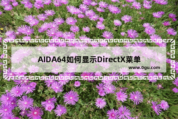 AIDA64如何显示DirectX菜单