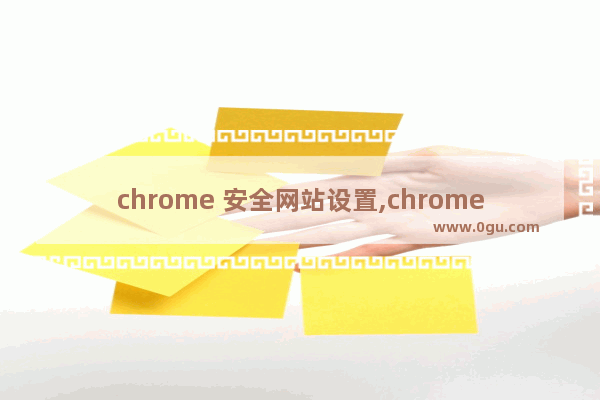 chrome 安全网站设置,chrome浏览器怎么添加安全站点