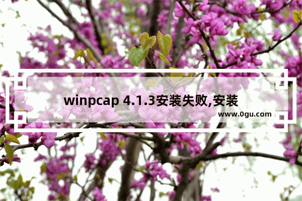 winpcap 4.1.3安装失败,安装winpcap出现错误