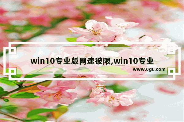 win10专业版网速被限,win10专业版网络受限