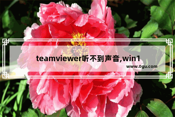 teamviewer听不到声音,win10 teamviewer用不了