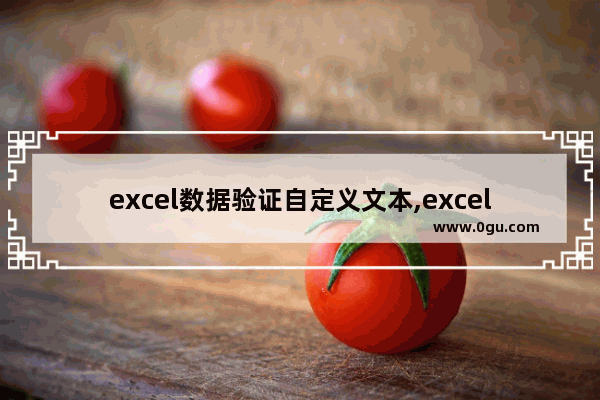 excel数据验证自定义文本,excel数据验证输入信息