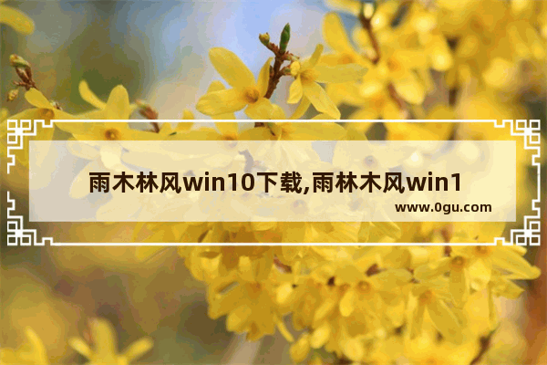 雨木林风win10下载,雨林木风win10安装教程视频