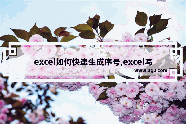 excel如何快速生成序号,excel写序号简便方法