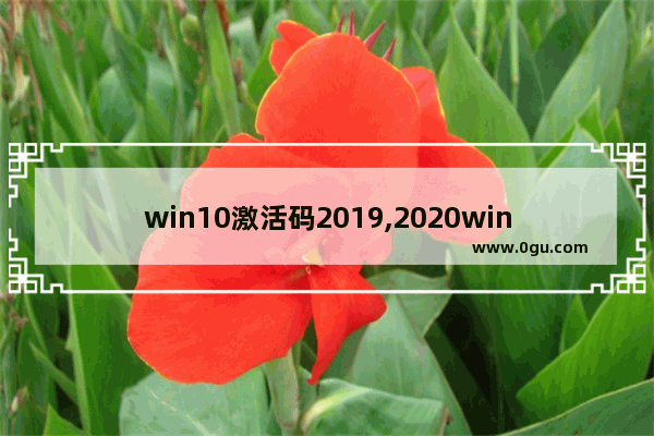 win10激活码2019,2020win10专业版永久激活码