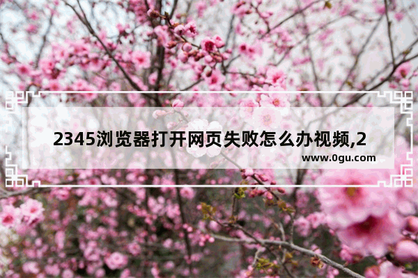 2345浏览器打开网页失败怎么办视频,2345浏览器网页打不开是什么原因