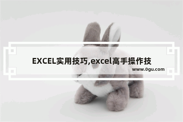 EXCEL实用技巧,excel高手操作技巧